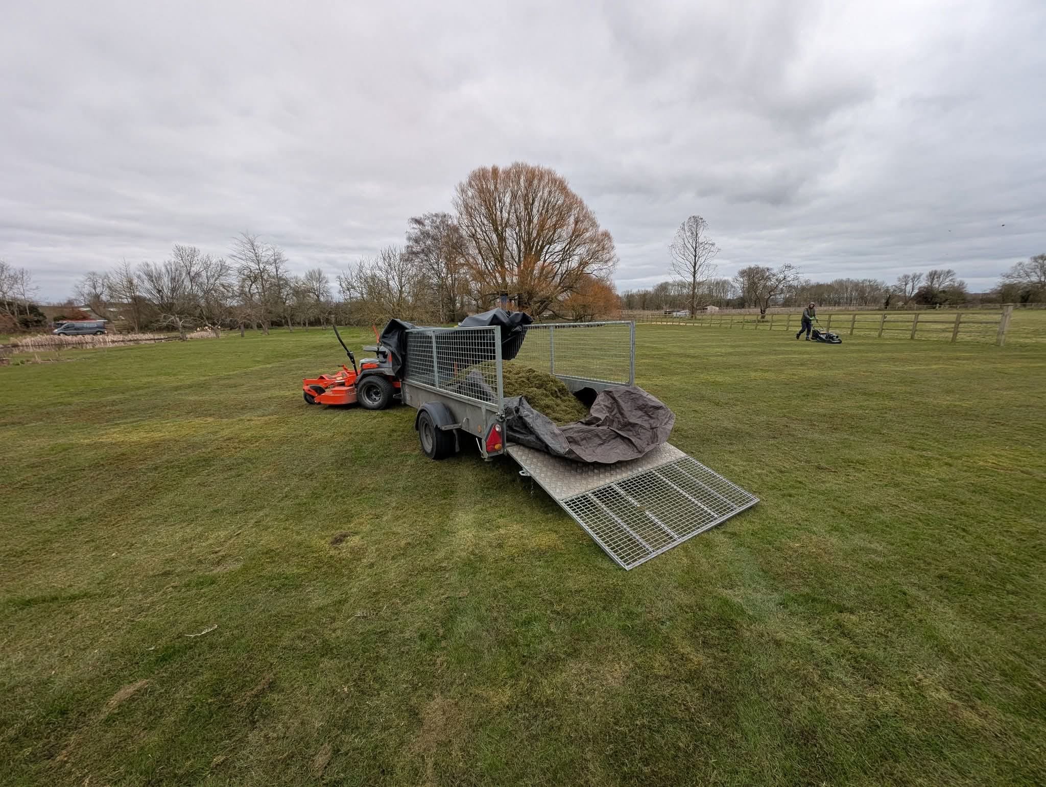 Lawn Weed Management